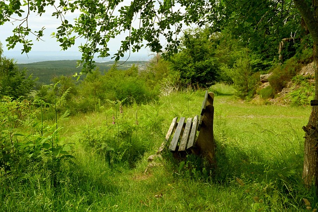 議的焦點 議的焦點