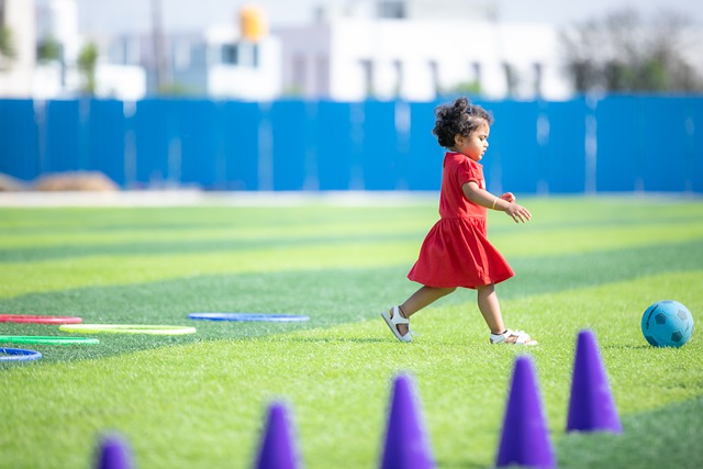 基础和全球 基础和全球