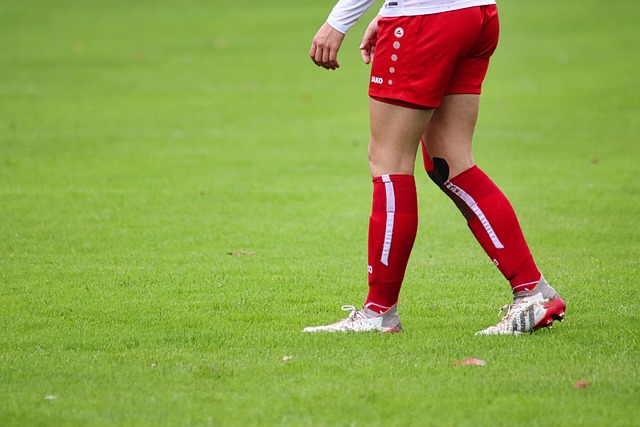 了稳定的领 了稳定的领