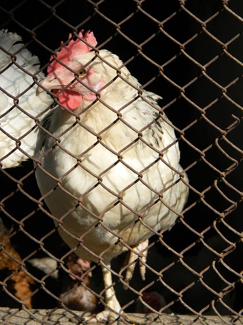 本篇将深入 本篇将深入