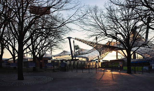 运营的高回 运营的高回