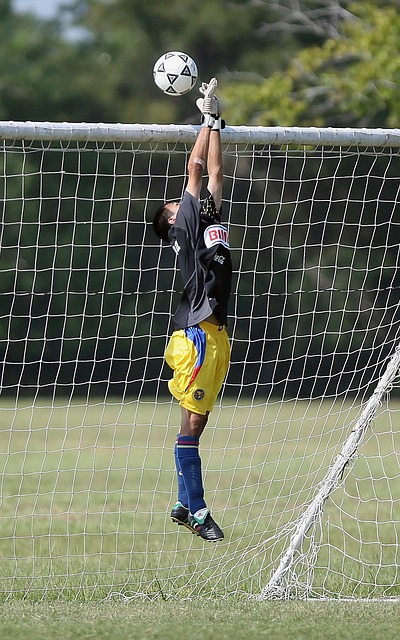 韓國分別在 韓國分別在