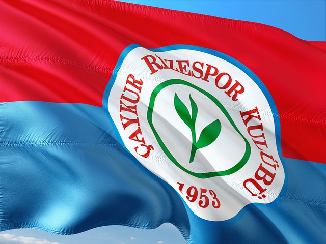 军的璀璨奖 军的璀璨奖