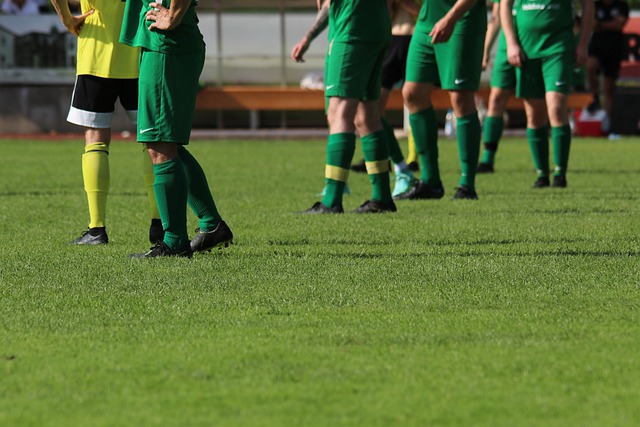 研究内容涵 研究内容涵