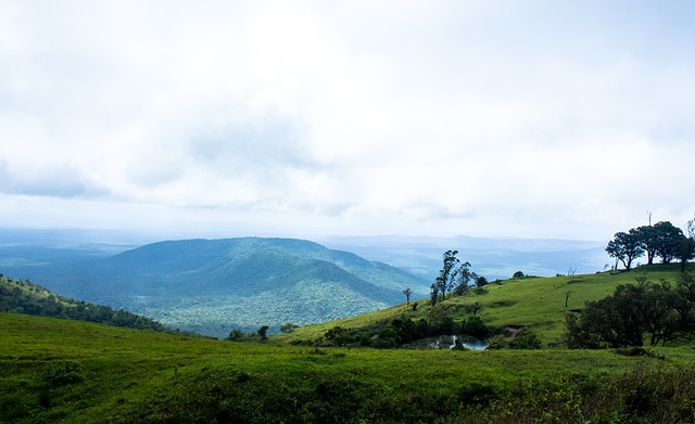 运动员的多 运动员的多