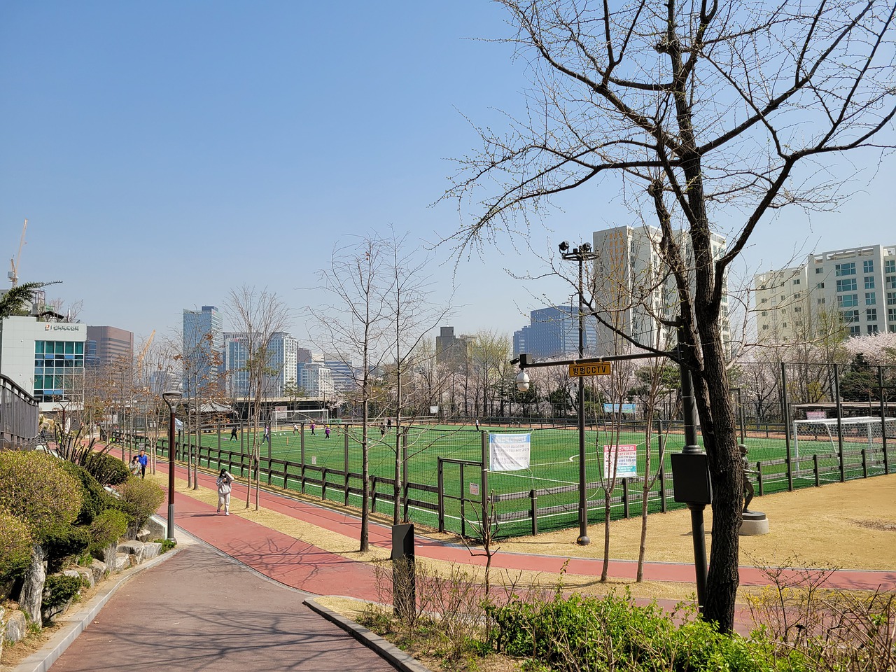 辛纳顺利闯 辛纳顺利闯