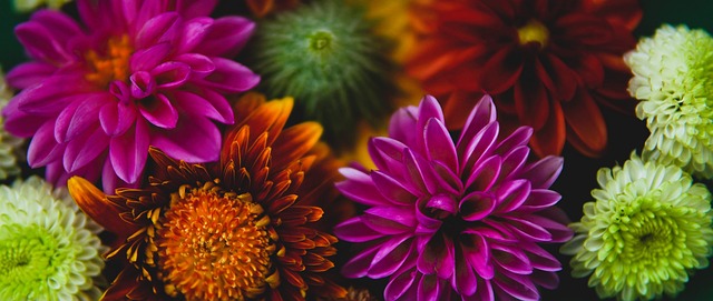 我们可看出 我们可看出