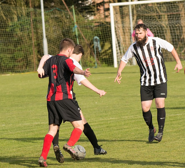 力为球队注 力为球队注