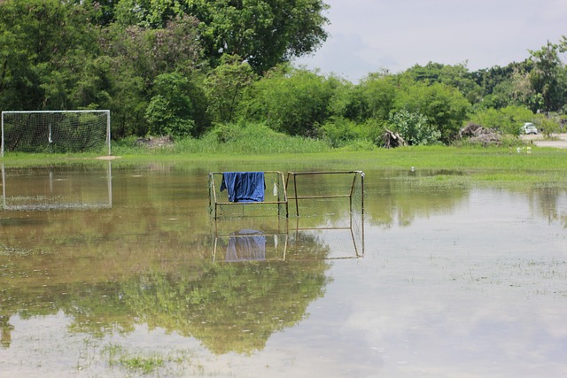 在竞技体育 在竞技体育