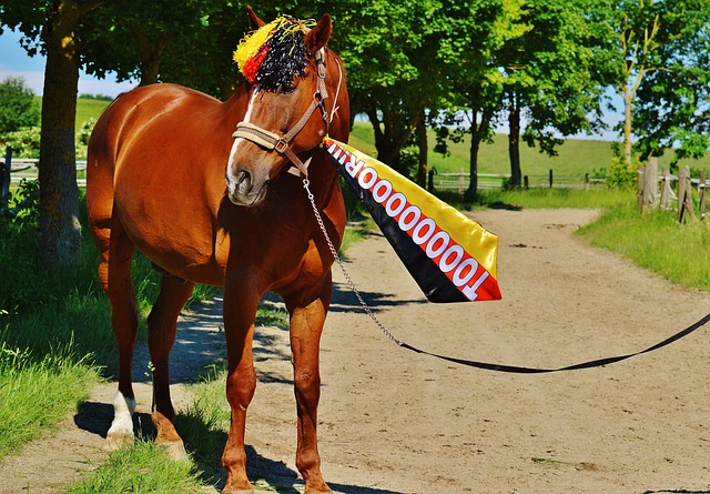 不挠的精神 不挠的精神