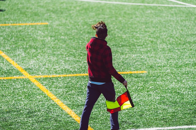 成功引入了 成功引入了