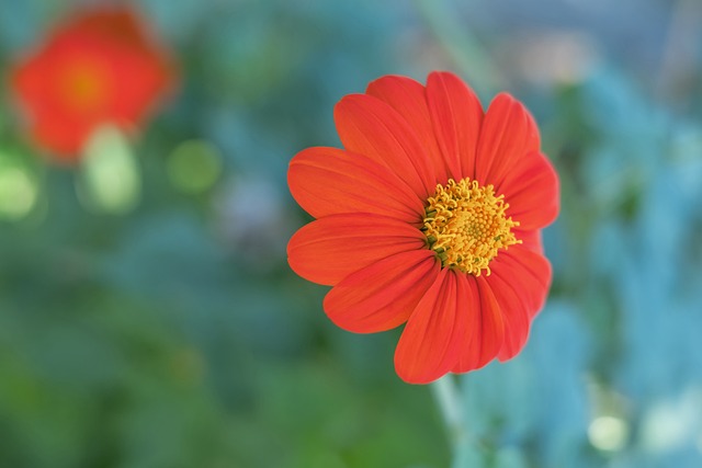 到整体执行 到整体执行