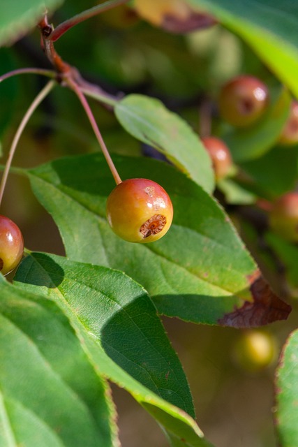 豪取四连胜 豪取四连胜