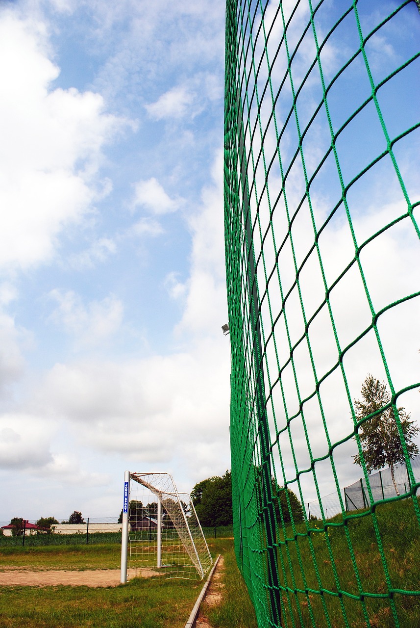 运动员的成 运动员的成