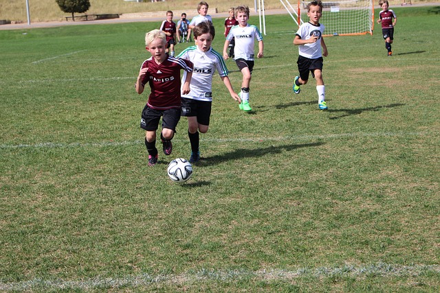 雪经济呢 雪经济呢